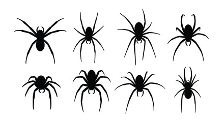 Variety of black spider silhouettes arranged in a grid pattern