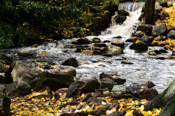 Flowing river and fallen autumn leaves