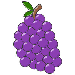 Illustration of Grapes