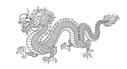 Detailed Line Art Depiction of a Chinese Dragon.