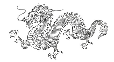 Detailed Line Art Illustration of a Traditional Chinese Dragon.