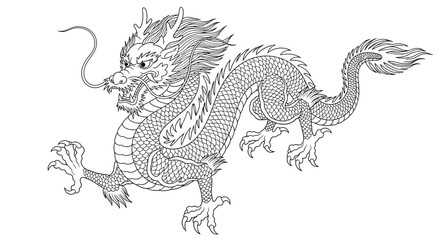Detailed Line Art of a Traditional Chinese Dragon.