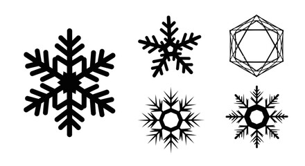 Elegant Snowflake Collection - Winters Geometric and Organic Beauty.