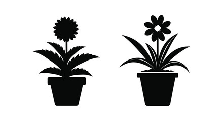 Fototapeta premium Two potted flowers in black silhouette a sunflower and a smaller bloom