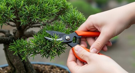 Hands trimming bonsai plant with small pruning shears, close-up on green bonsai leaves, indoor gardening care and precision pruning against blurred natural background