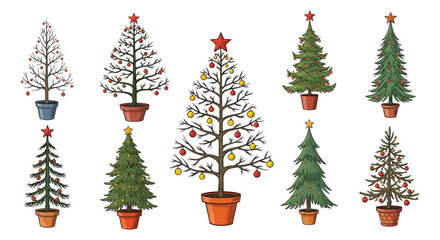 Collection of Christmas Trees in Pots - Bare, Decorated, and Evergreen.