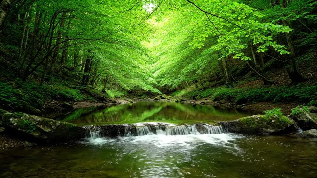 Small waterfall in lush green forest with river reflecting light