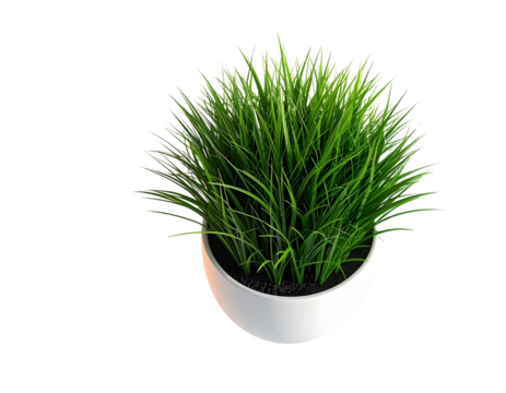 Decorative Indoor Potted Grass with Modern Interior Styling PNG