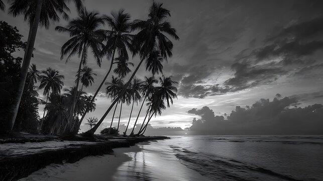 Serene black and white tropical beach with palm trees at sunset. - Powered by Adobe