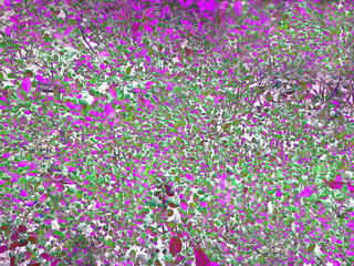 Fototapeta premium Abstract artwork with dense clusters of pink and green shapes layered over a light background, creating a vibrant, chaotic pattern reminiscent of foliage or floral camouflage.