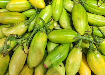Fresh Green Eggplants Close-Up
