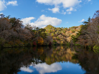 秋の神戸布引の自然　木々が色づく11月