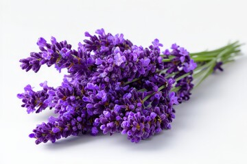 Close Up of a Lavender Bouquet with Purple Flowers on a White Background