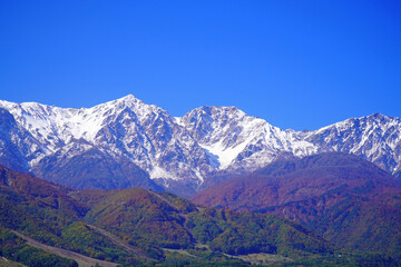 秋の白馬村から眺めた三段紅葉