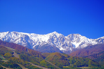 秋の白馬村から眺めた三段紅葉
