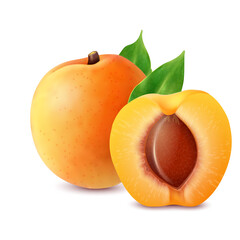 Realistic Ripe Apricots Whole and Halved with Green Leaves on Transparent Background Illuminated by Soft Light
