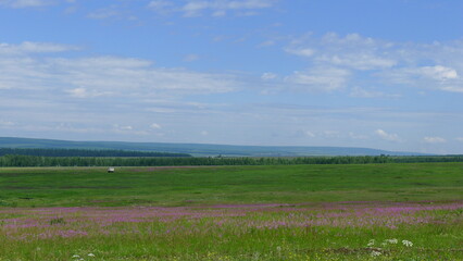 Summer Wildflower Meadow in Siberia, Russia &mdash; Vast Grassland and Blue Sky Landscape