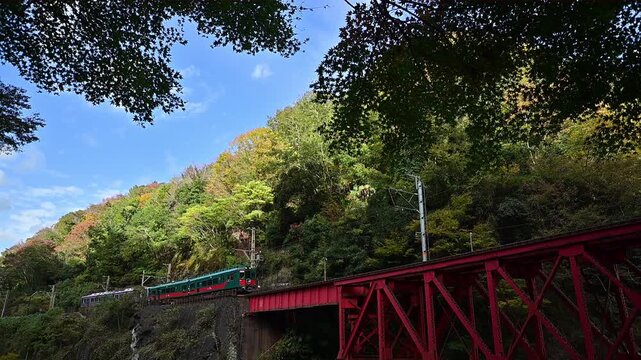 紅葉の色づいた龍王渓を走る2200系天空 （南海 高野線 高野下 - 九度山, 2025年11月）