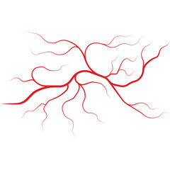Red Arterial Network Structure Isolated On Transparent Background Medical Illustration