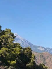 Fototapeta premium Rocky hillside and dense forest with a clear distant view of Mount Tahtali. Natural landscape, textured rocks and Mediterranean nature