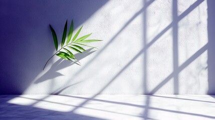 A single green leaf is illuminated by sunlight streaming through a window, casting a shadow on a textured white wall and floor.