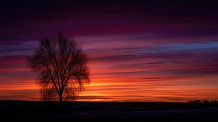 Fototapeta premium Majestic Sunset Over a Solitary Tree in a Vibrant Sky