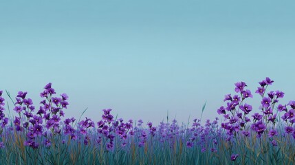 Fototapeta premium Vibrant Purple Wildflowers Blooming Under Clear Sky with Gentle Hues of Blue and Purple Creating a Serene and Tranquil Atmosphere for Nature Lovers