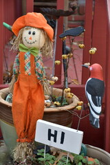 Scarecrow and Woodpecker Decorations in a Flowerpot