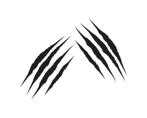 Sharp black claw scratch marks isolated on white background. Animal attack ripped scratch streaks for design, print, and digital art. Grunge aggressive scratch tear elements.