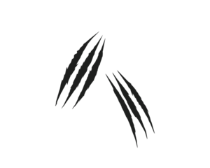 Sharp black claw scratch marks isolated on white background. Animal attack ripped scratch streaks for design, print, and digital art. Grunge aggressive scratch tear elements.