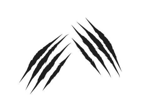 Sharp black claw scratch marks isolated on white background. Animal attack ripped scratch streaks for design, print, and digital art. Grunge aggressive scratch tear elements.