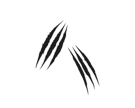 Sharp black claw scratch marks isolated on white background. Animal attack ripped scratch streaks for design, print, and digital art. Grunge aggressive scratch tear elements.