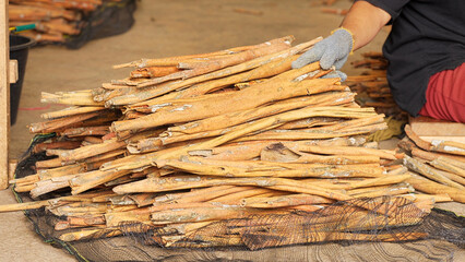 dried indonesian cinnamon or cassia barks in sumatra, indonesia, southeast asia