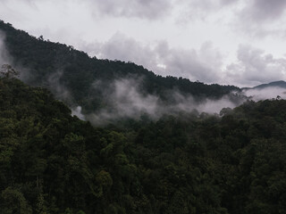 Scenic view of fog creeping over the dense rainforest canopy in Khao Sok National Park, Surat Thani, Thailand, creating a mystical atmosphere