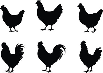 Set of chicken silhouettes, rooster and hen vector icons, black farm poultry birds collection, isolated graphic elements on white background.