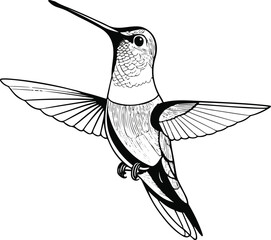 Minimalist bold line drawing of a hummingbird 1