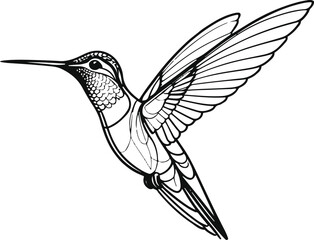 Minimalist bold line drawing of a hummingbird