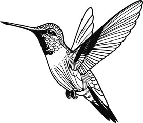 Minimalist bold line drawing of a hummingbird 3