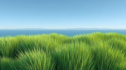 Lush Green Grass Field Overlooking Calm Blue Ocean Under a Clear Sky with Distant Mountains on the Horizon