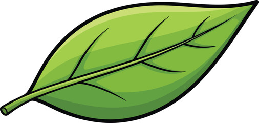 Single Bright Green Leaf With Dark Veins Isolated On White