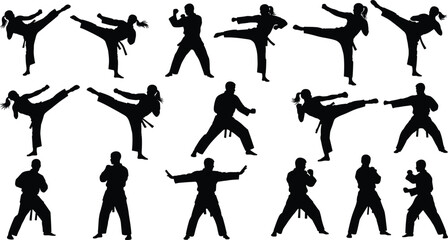 People Practicing Karate and Taekwondo, Showing Dynamic Kicks, Blocks, and Fighting Stances Vector.