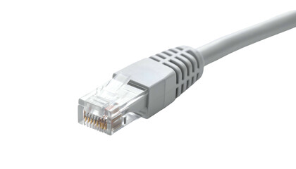 Close-up of a white Ethernet cable end on a black background