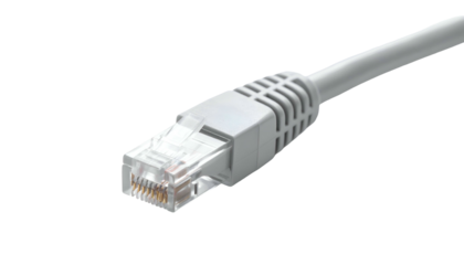 Close-up of a white Ethernet cable end on a black background