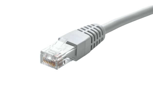 Close-up of a white Ethernet cable end on a black background