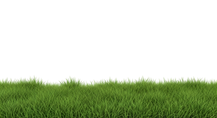 green grass isolated on transparent background