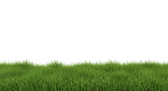 green grass isolated on transparent background