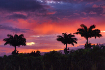 Blue hour sunrise on Maui.