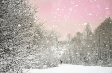 winter landscape with snow