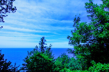 Obraz premium Scenic Lookout in Summer, Arcadia, Michigan