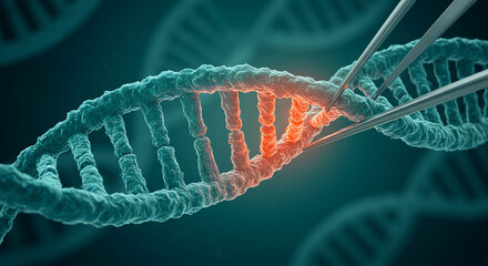 Scientific tweezers precisely manipulate a glowing red section of a DNA double helix